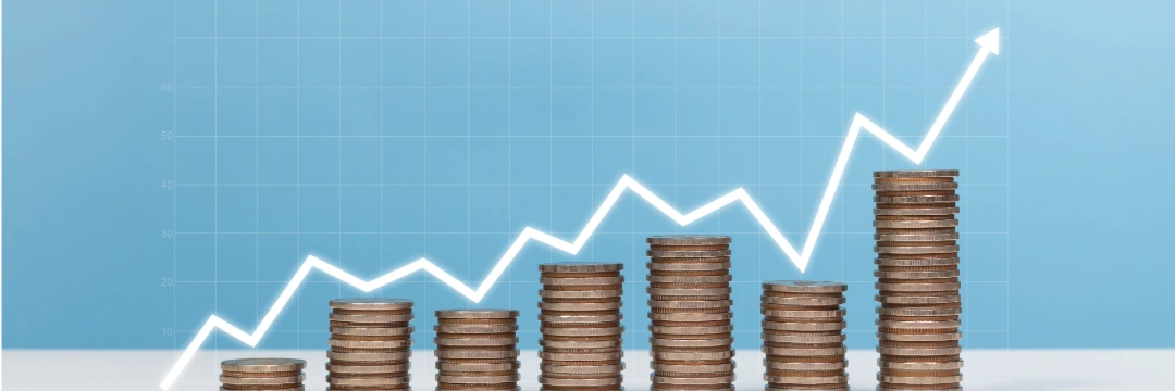 What is Cash Flow Forecasting